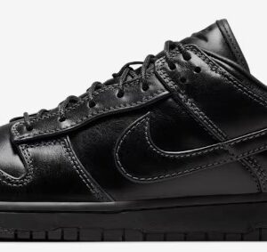 Nike Dunk Low Retro Premium Shoes