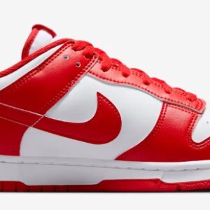 Nike Dunk Low Retro Men's Shoes